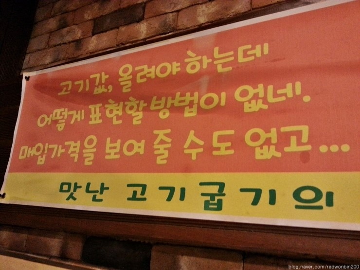 청춘갈매기 이미지