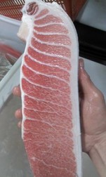 오도로참치 이미지