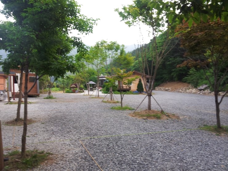 덕동골캠핑장 이미지