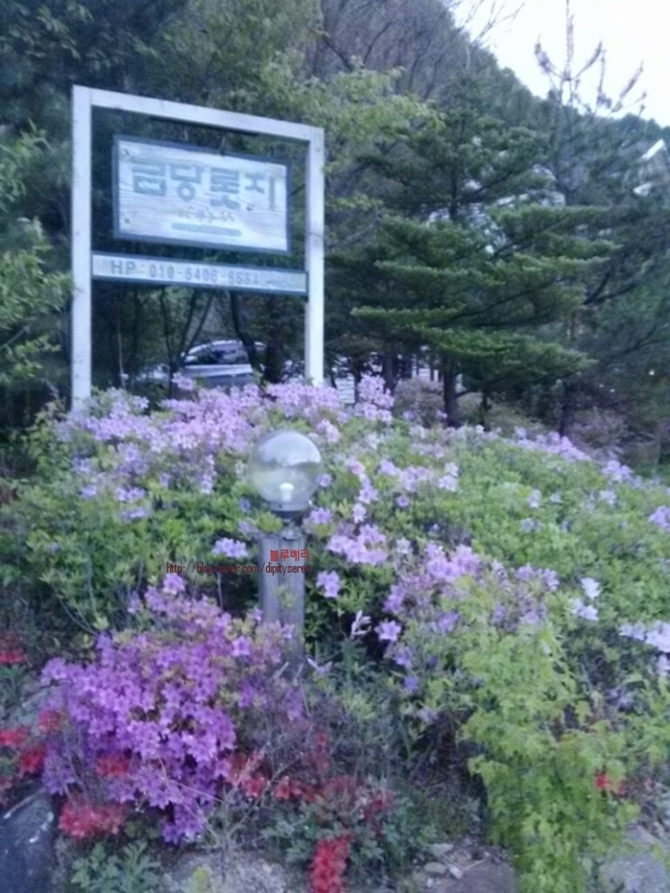 금당롯지 이미지