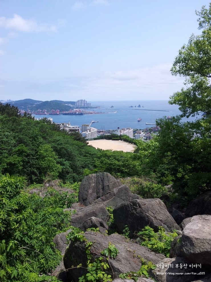 바라본바다 이미지