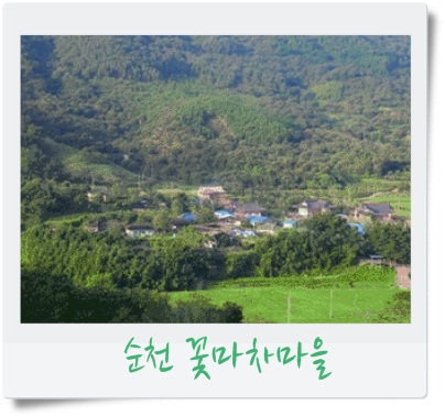 순천꽃마차마을 이미지
