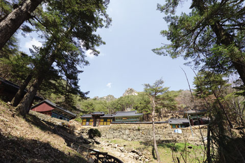의상봉민박 이미지