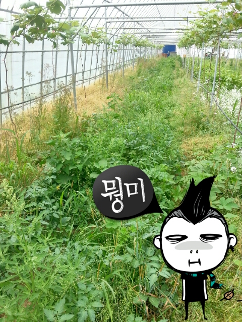 서누네농장 이미지