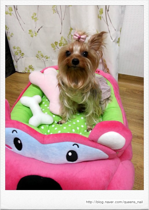 퀸스네일 이미지