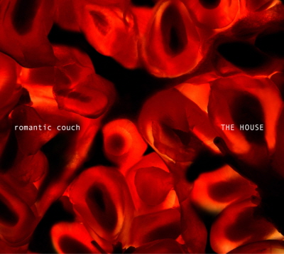 카우치(Couch) 이미지
