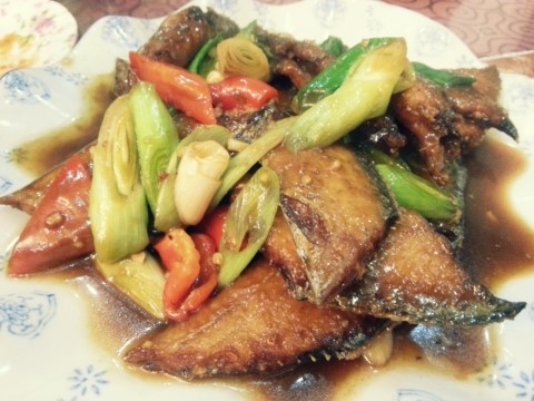 슈챠이 이미지