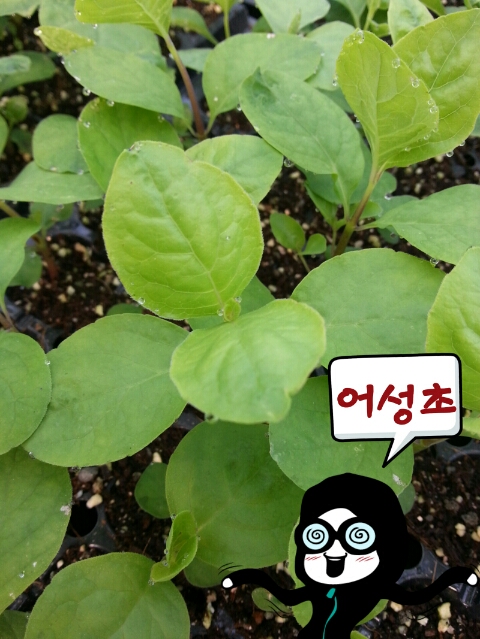 서누네농장 이미지