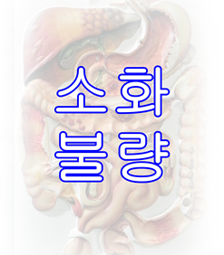 이내과의원 이미지