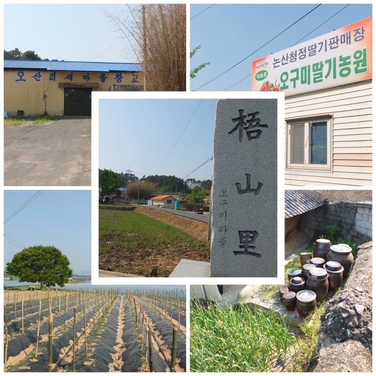 논산딸기마을 이미지