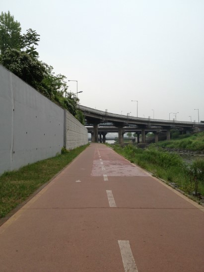프로젝트송송 이미지