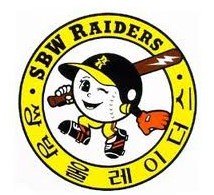 한국쌍방울 이미지