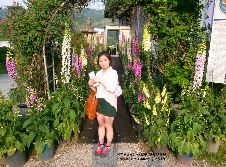 (주)상수허브랜드 이미지