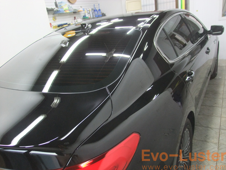 Evo-Luster 이미지