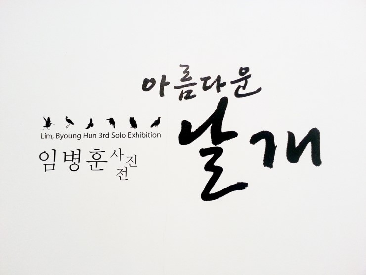 아름다운날개 이미지