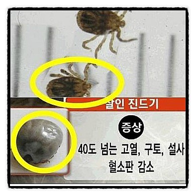 대풍건재 이미지