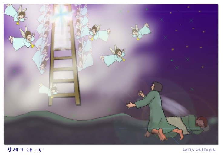 사닥다리 이미지