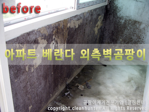 곰팡이헌터 이미지