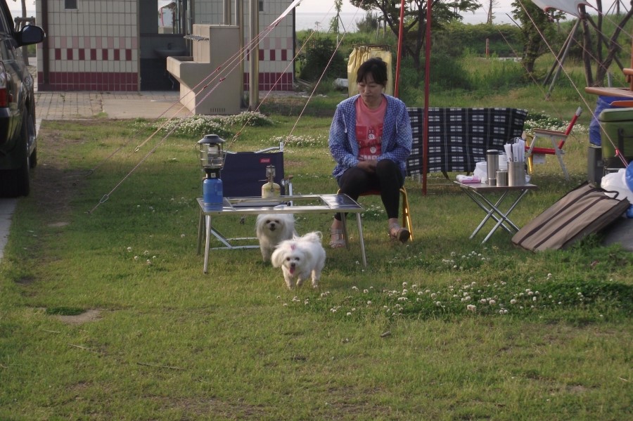 오시나래 이미지