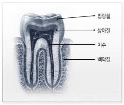 이오플러스 이미지