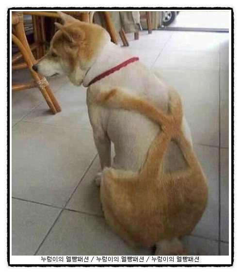 동우환경관리 이미지