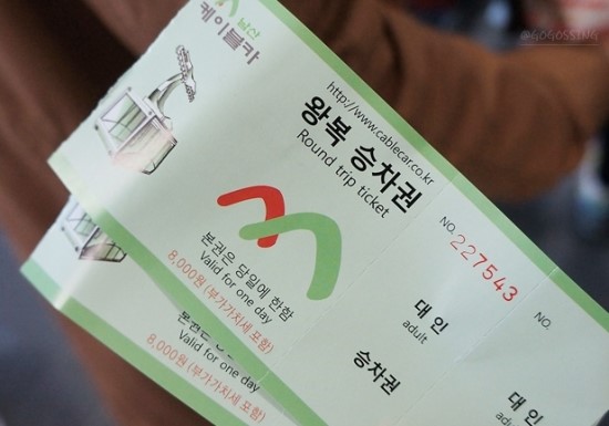 차홍투어 이미지