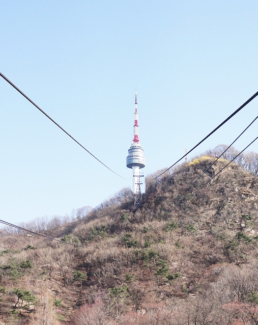 차홍투어 이미지