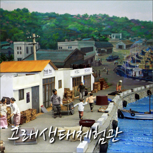 신나는고래 이미지