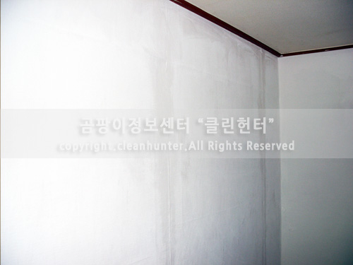 곰팡이헌터 이미지