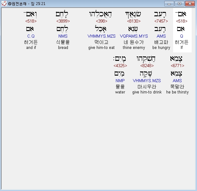 베게드 이미지