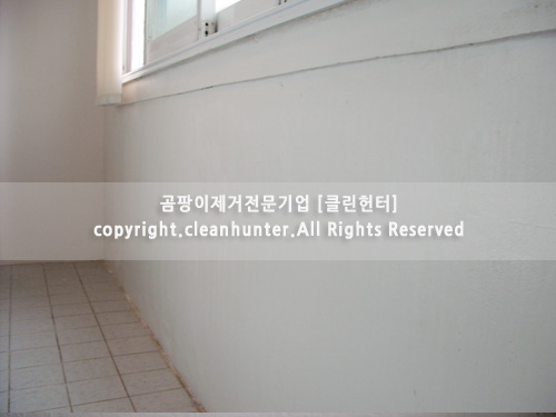 곰팡이헌터 이미지