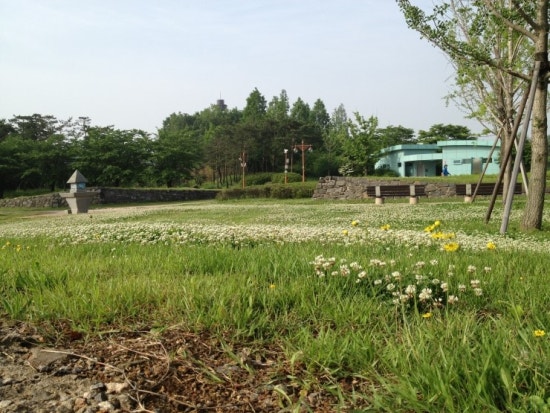 프로젝트송송 이미지