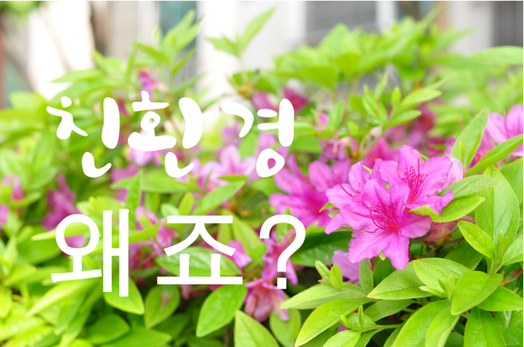 병점테라피 이미지