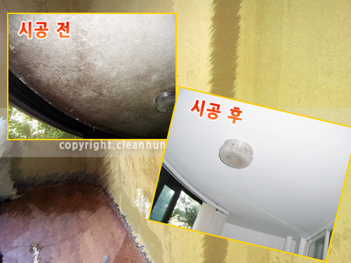 곰팡이헌터 이미지
