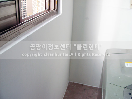 곰팡이헌터 이미지