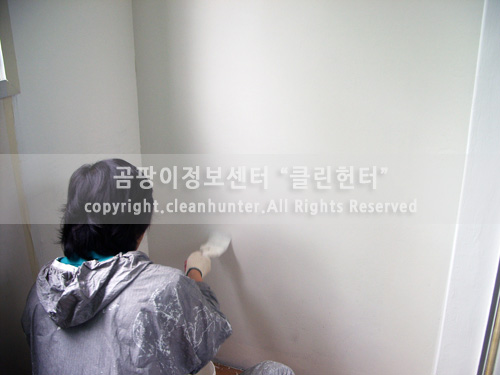 곰팡이헌터 이미지