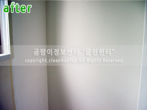 곰팡이헌터 이미지