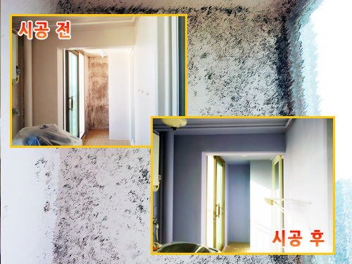 곰팡이헌터 이미지