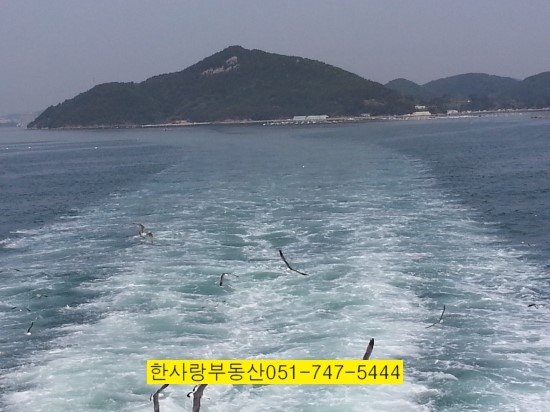 천년렌탈 이미지