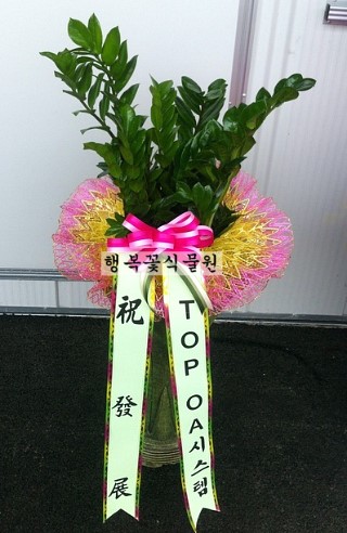 TOPOA시스템 이미지