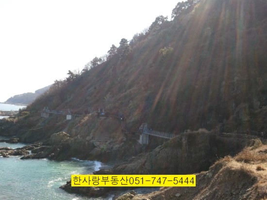 천년렌탈 이미지