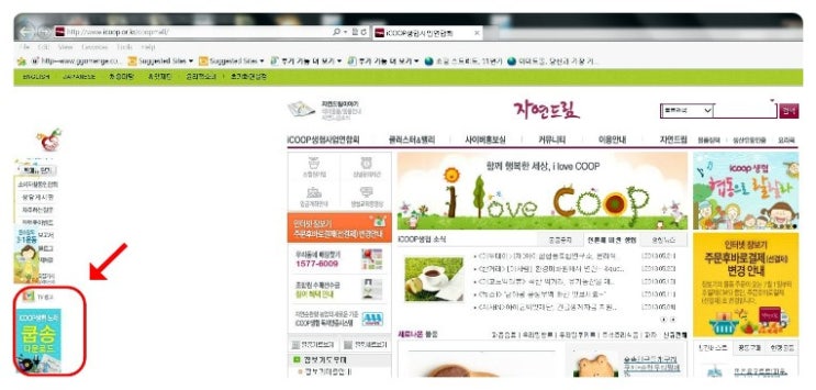 우리소비자생활협동조합 이미지
