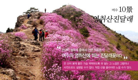 예당갈비 이미지