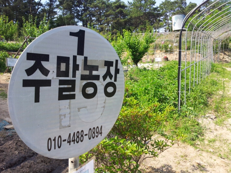 정가네토종닭 이미지