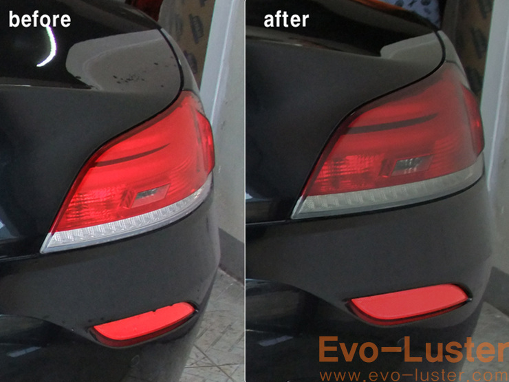 Evo-Luster 이미지
