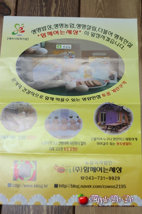 꼬꼬계란 이미지