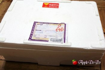 꼬꼬계란 이미지