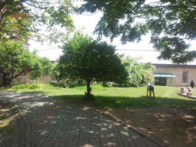 인천영종초등학교금산분교 이미지