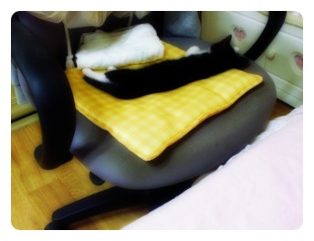 나나로프 이미지