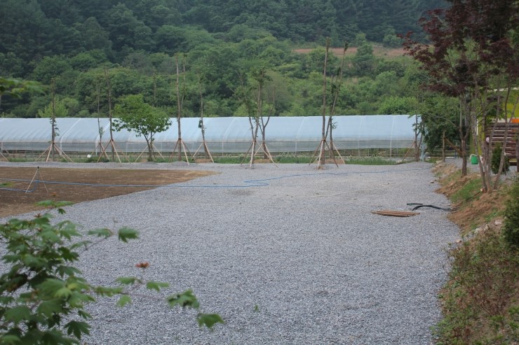 비발디캠핑파크 이미지